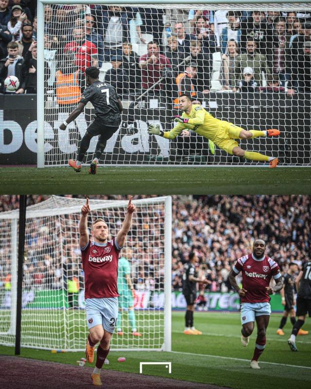 引发众怒，电讯报：摩洛哥为承办国际赛事大规模捕杀流浪狗